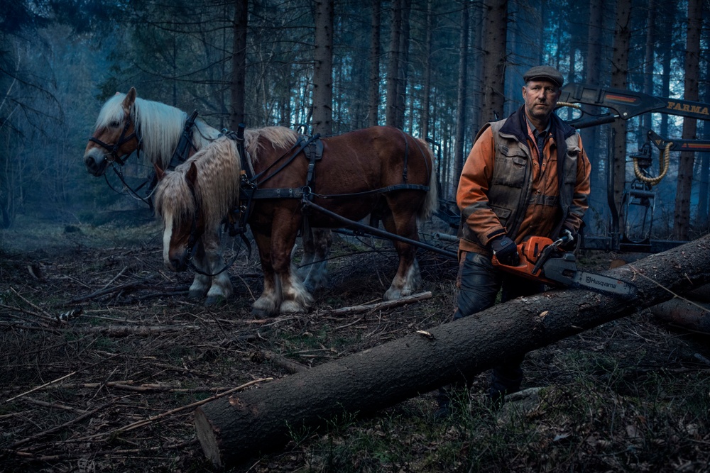Till vardags driver Johan Eriksson, utanför Flen, skogsbruk med hästarna som kollegor. Nu blir både han och hans fyrbenta vänner konst på auktion. Här i verket "Skymning", från Thron Ullberg.