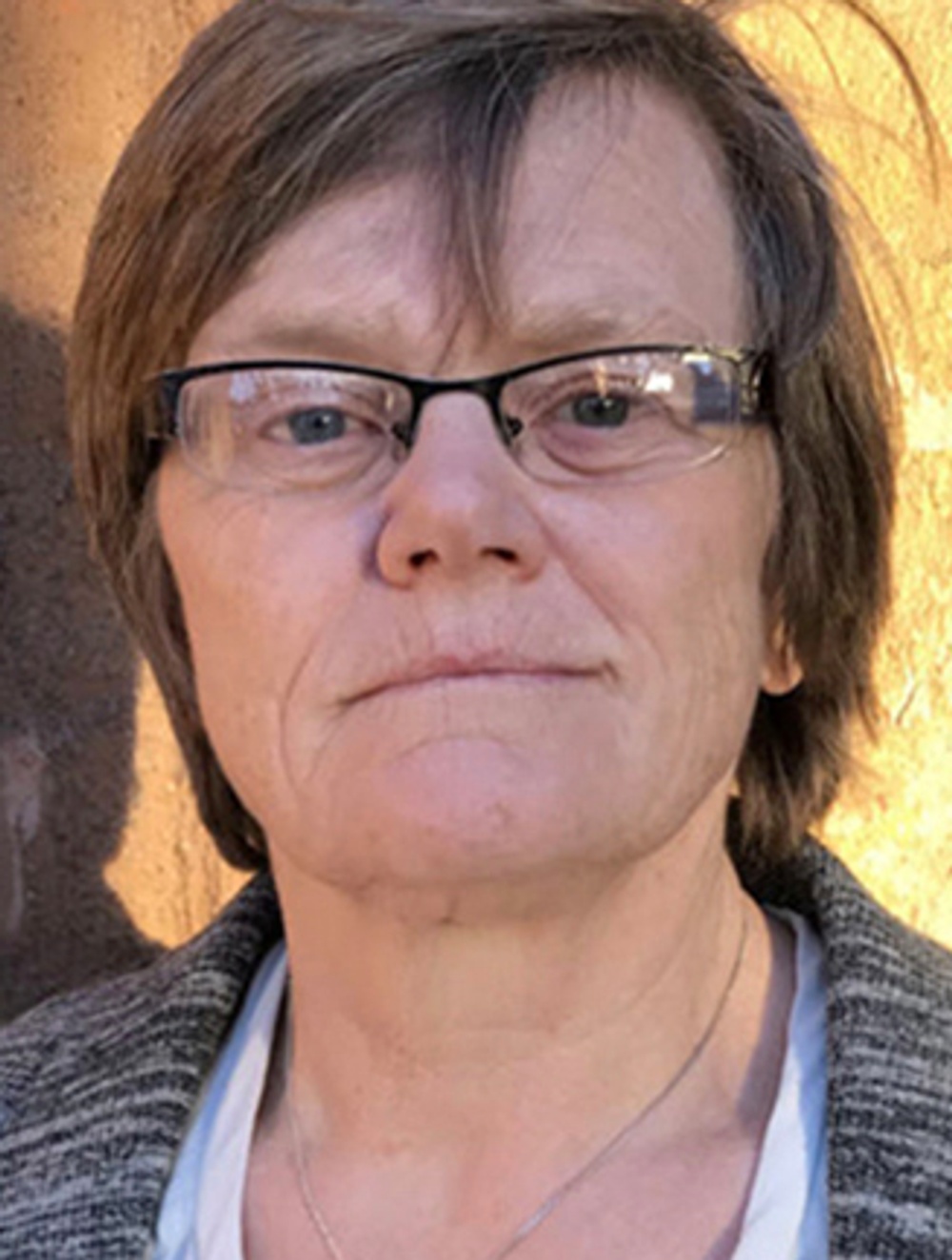 Ann Hermansson, styrelseledamot i Sjukhusläkarna.