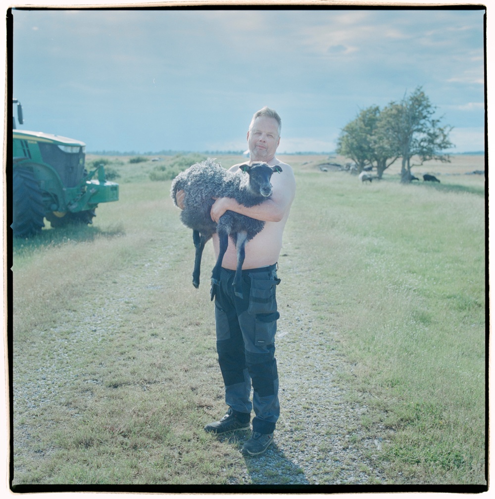 Konstverket "Herden" med Stefan Mellberg, fotograferad av Anna Clarén,  säljs just nu på auktion på Klaravik.