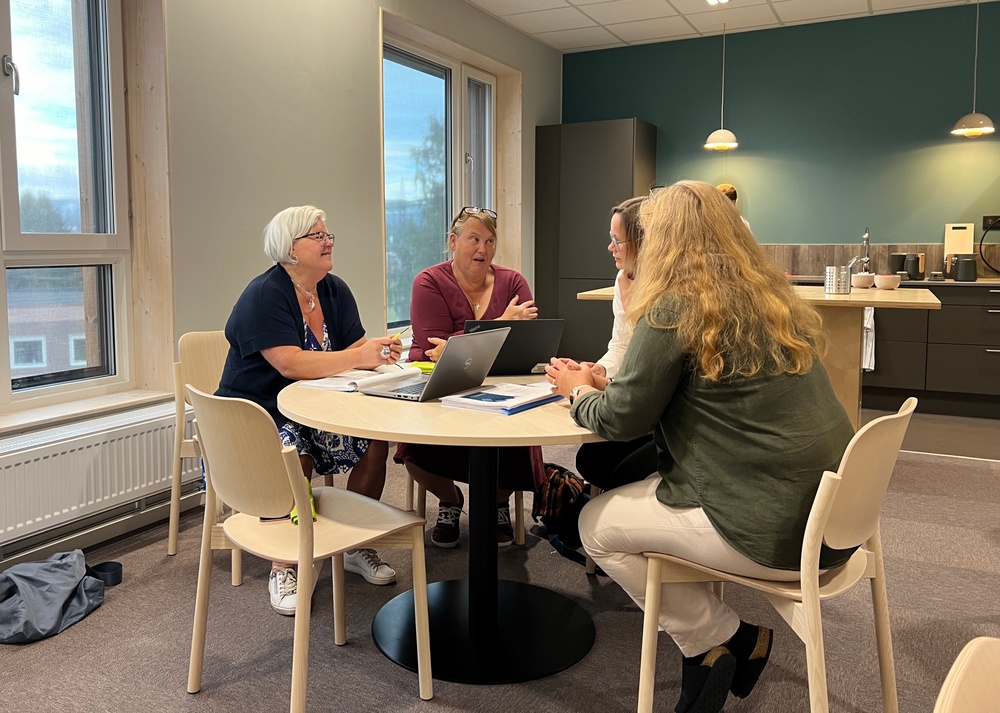 Malin Vedin, Lena Friborg, Eleonora Borén och Yvonne M Nordin diskuterar förslaget till bioekonomistrategi 