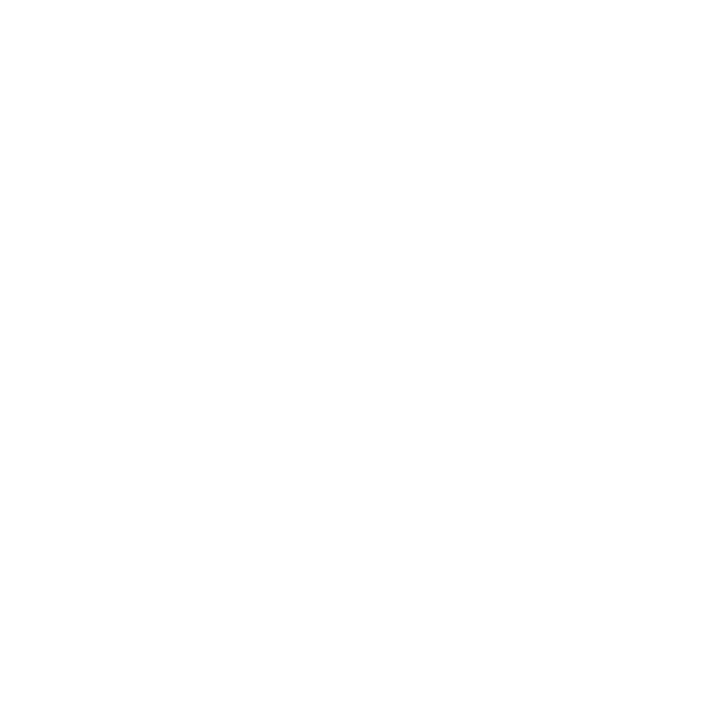 StarStableEntertainment_Logo_06_2020