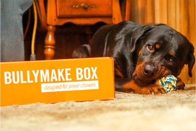 heavy chewer dog box