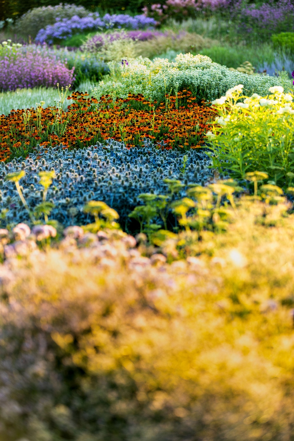 Piet Oudolf, Oudolf Garten on the Vitra Campus, Weil am Rhein, 2020 © Vitra