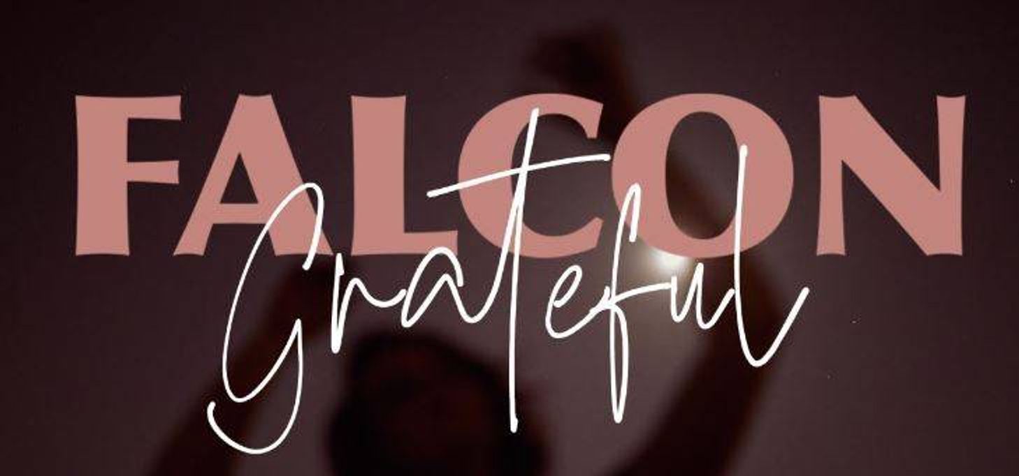 falcon grateful