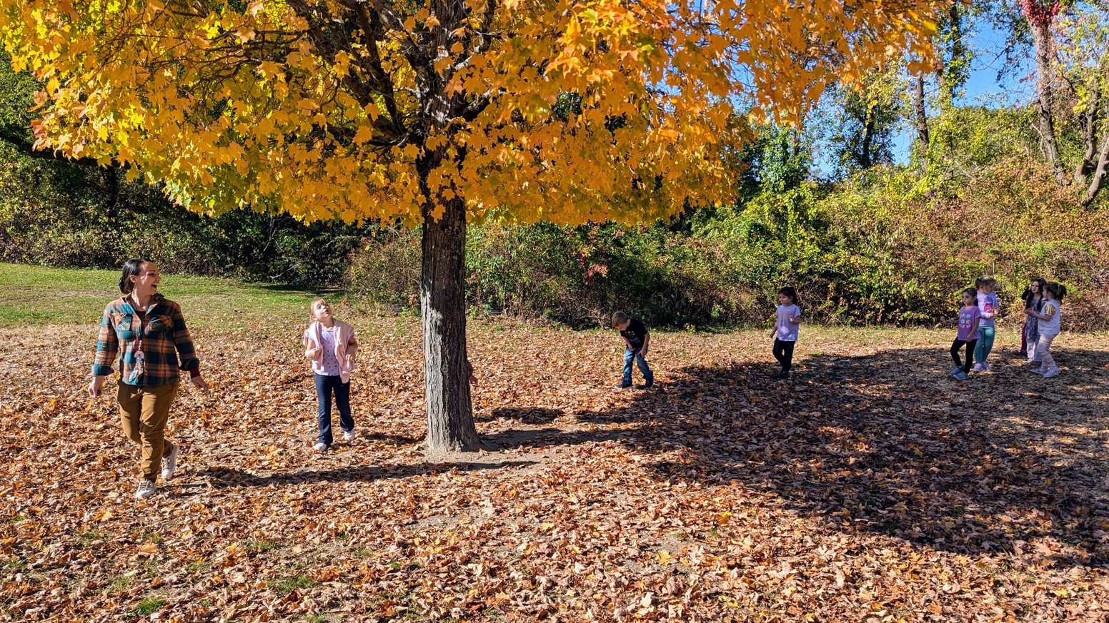 1st grade leaf safari