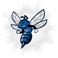 blue and black hornet logo