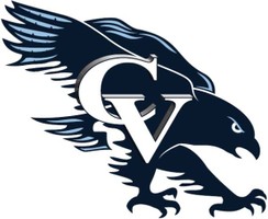 Falcon logo