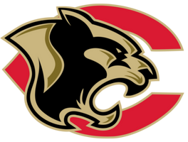 cougar logo