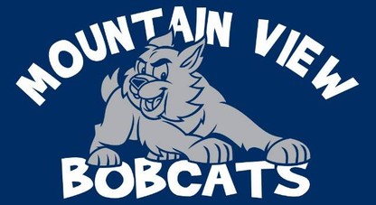 Bobcat Logo