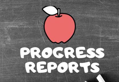 Progress Reports