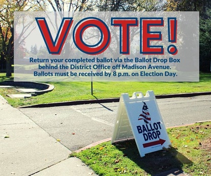 Voter box