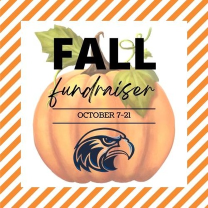 orange pumpkin with hawk logo and orange and white stripes