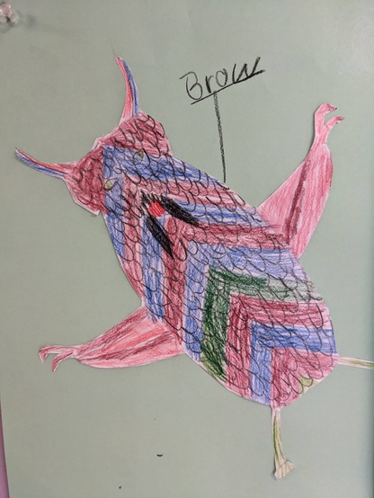 symmetrical bugs in second grade