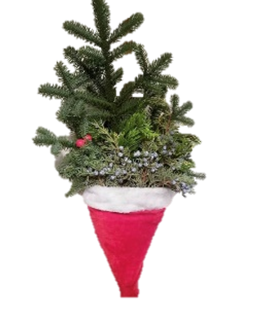 Santa Hat filled with greens