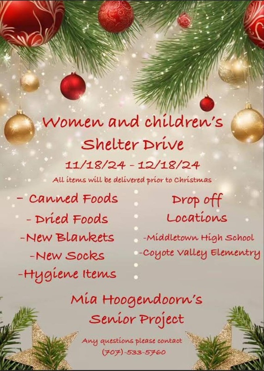 Women & Children's Shelter Drive Flyer
