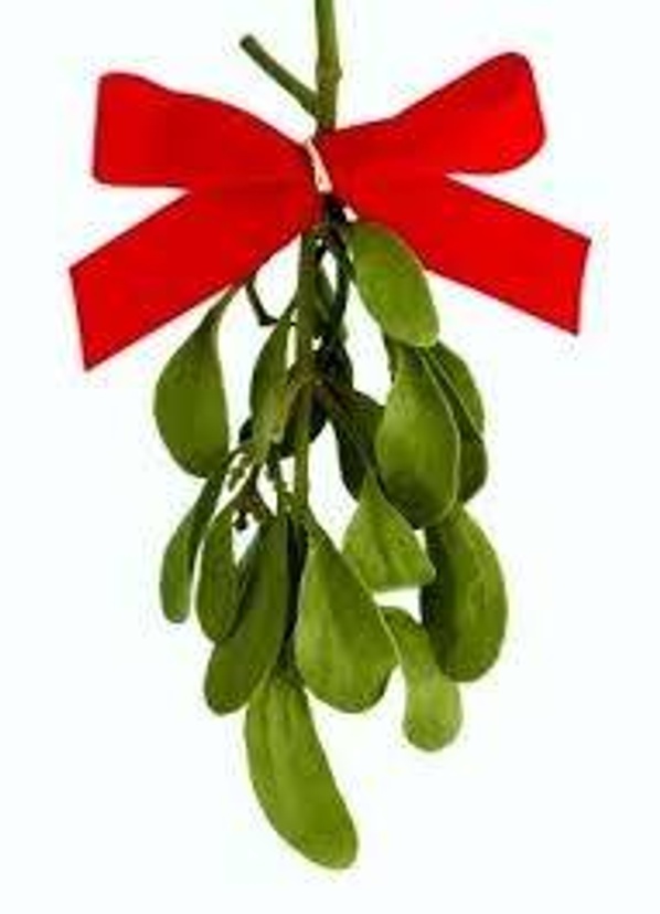 Mistletoe tied with red bow