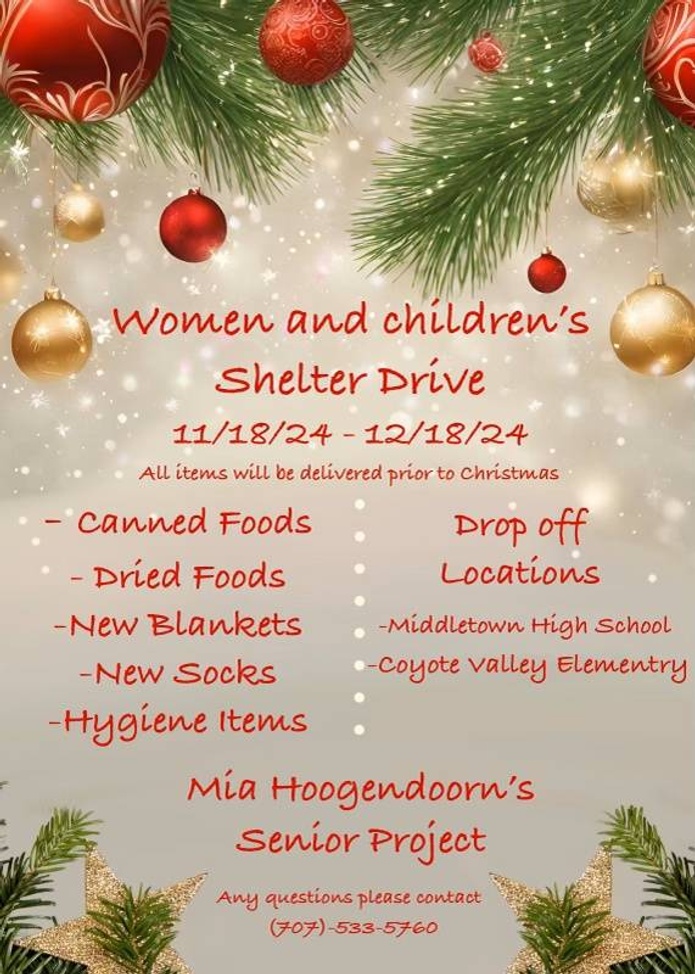 Womens Shelter Drive flyer
