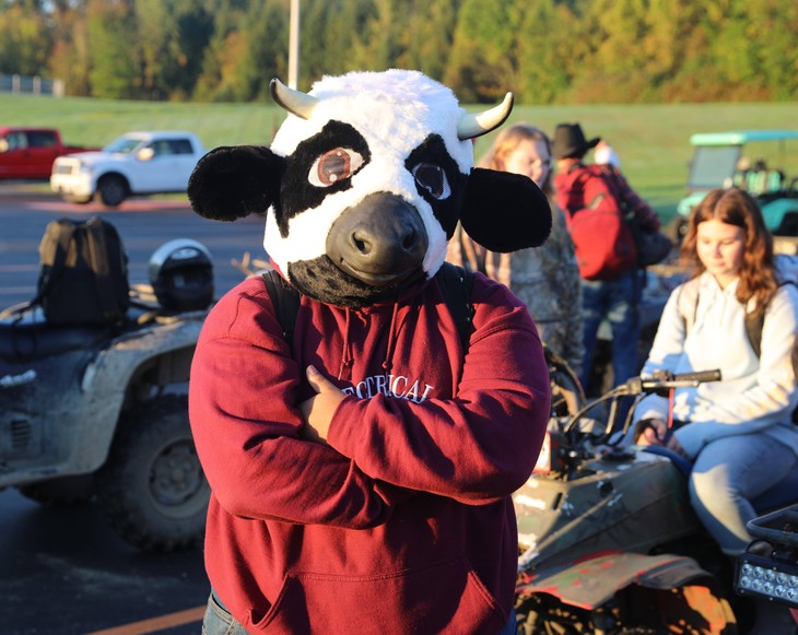 A student wore a cow costume as part of Country Living Day