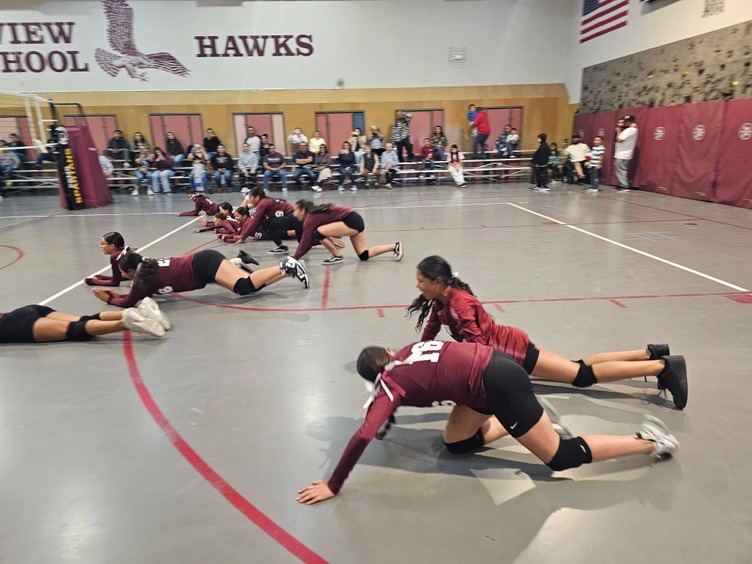 volleyball sliding