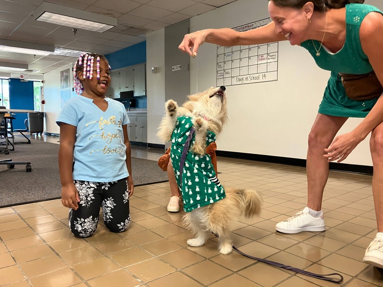 Elphie the therapy dog at Jackson-Via