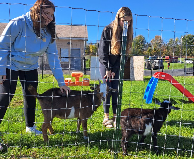 Students pet goats 