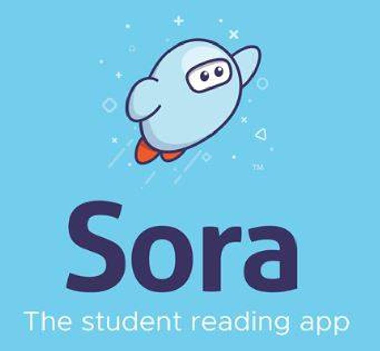 Sora app pic