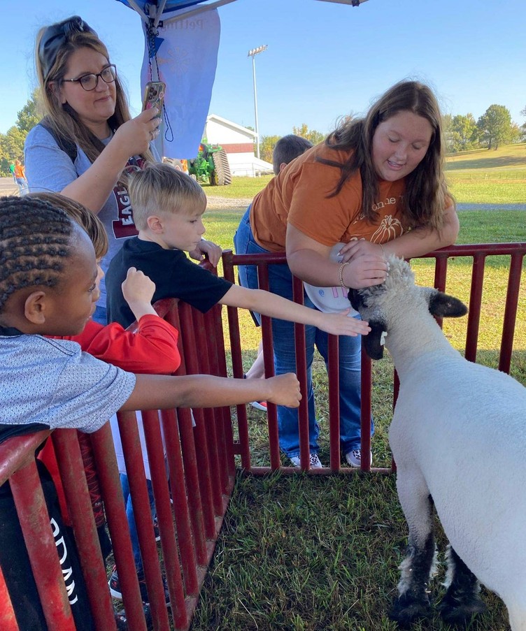 1 person pets an animal while 3 others reach for it and another takes a photo