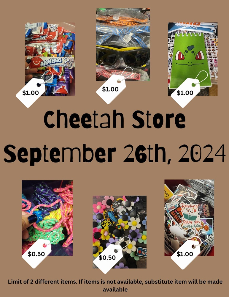 Cheetah Store