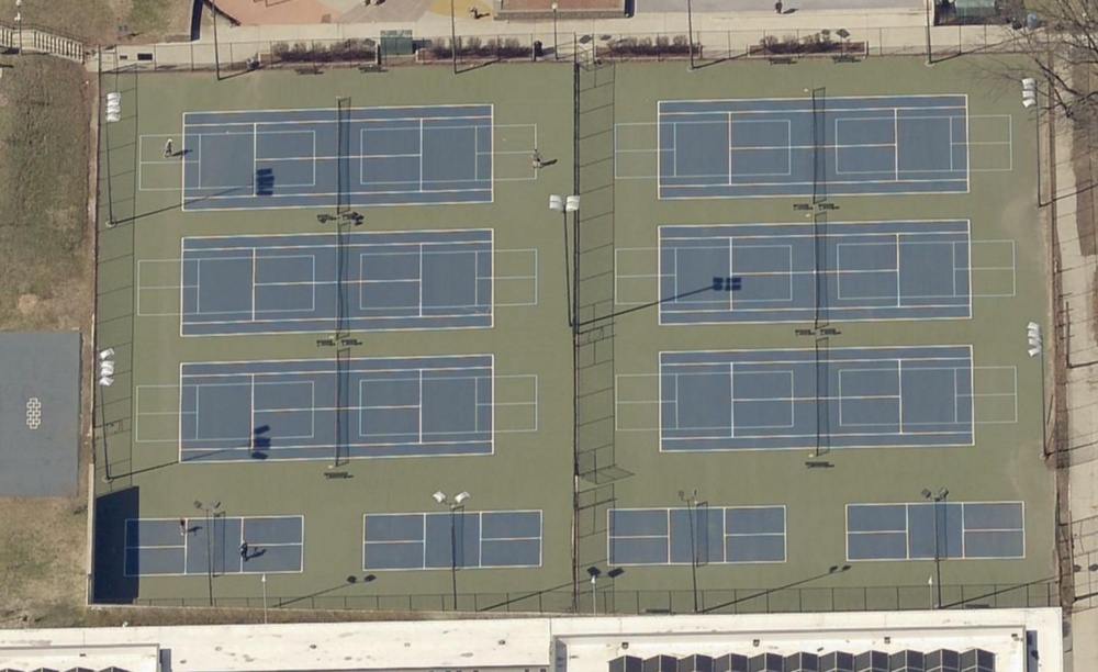 Photo of Pickleball at These American Shorthair Courts