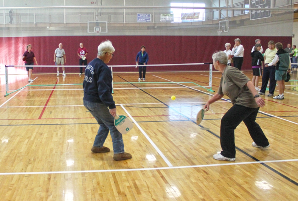 Photo of Pickleball at Probable Asian Black Bear Courts