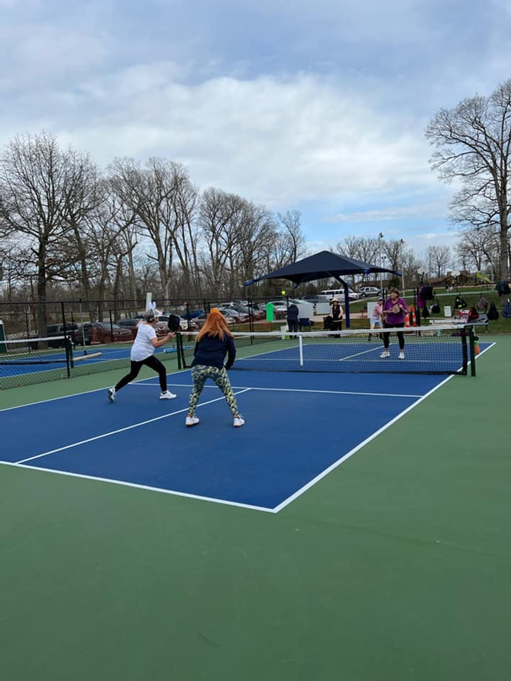 Photo of Pickleball at Scholarly Peale S Dolphin Courts