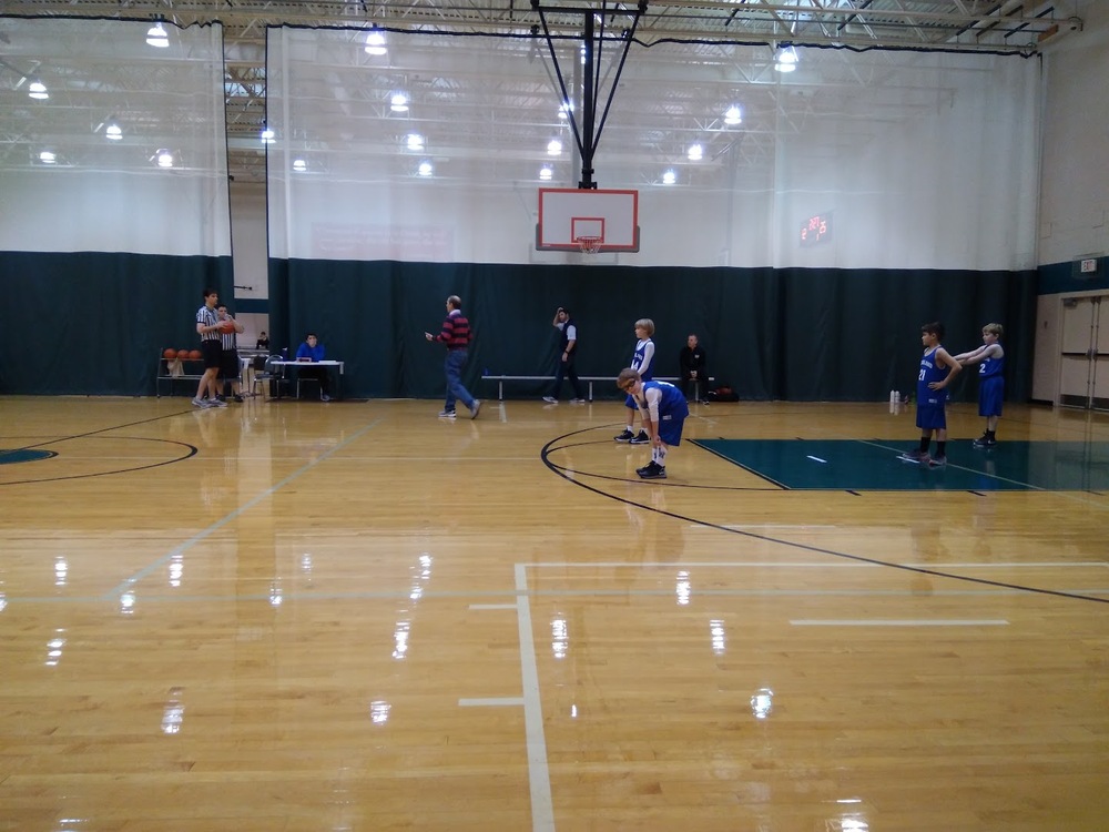 Photo of Pickleball at Bare Wirehaired Vizsla Courts