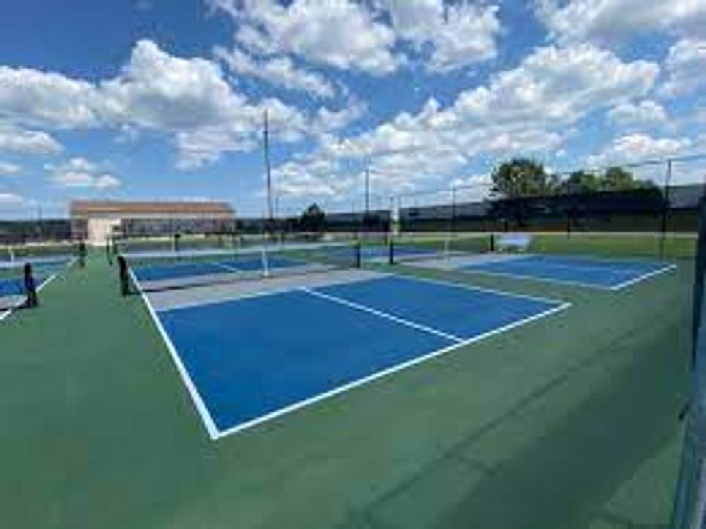 Photo of Pickleball at Grimy Asian Black Bear Courts