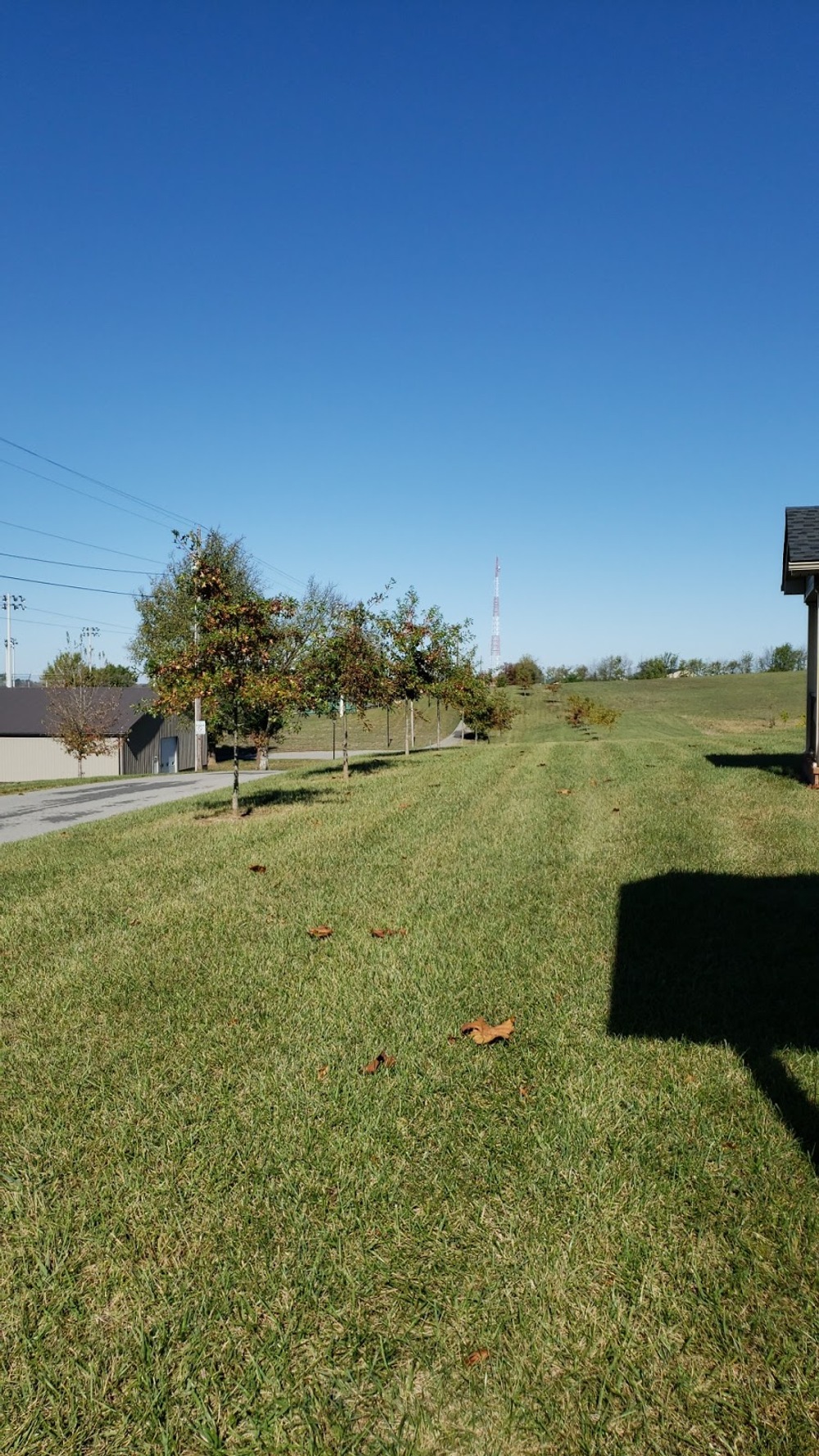 Play Pickleball at Idle Hour Park Court Information Pickleheads