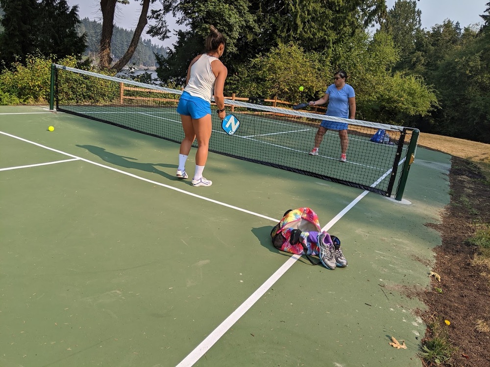 Photo of Pickleball at Attentive Toy Fox Terrier Courts