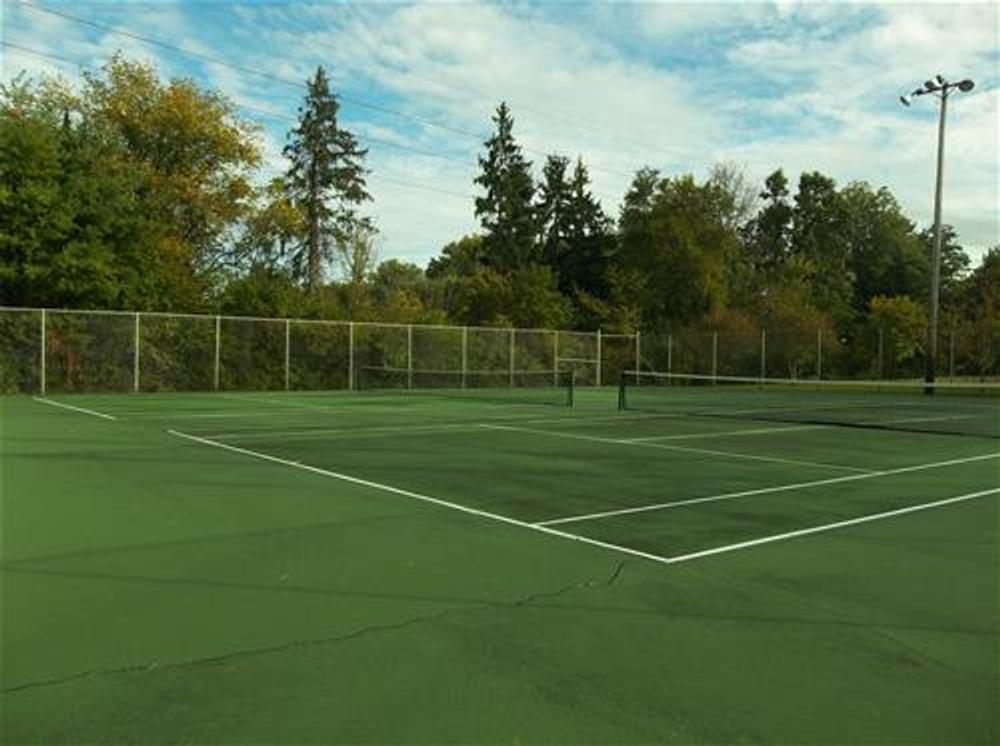 Photo of Pickleball at Exemplary American Black Bear Courts