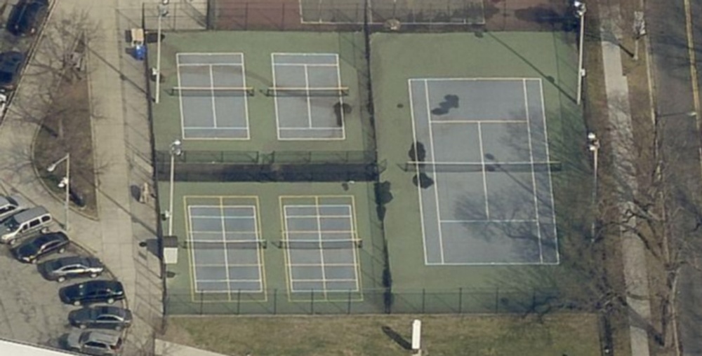 Photo of Pickleball at Exotic Amazon River Dolphin Courts