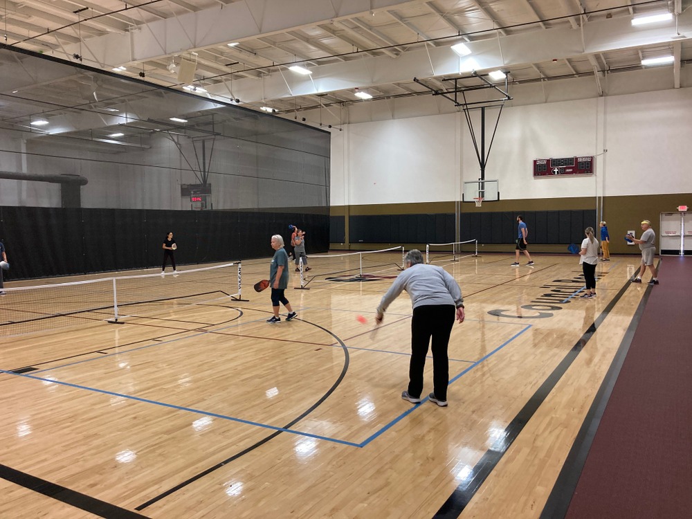 Photo of Pickleball at Creamy Asiatic Lion Courts