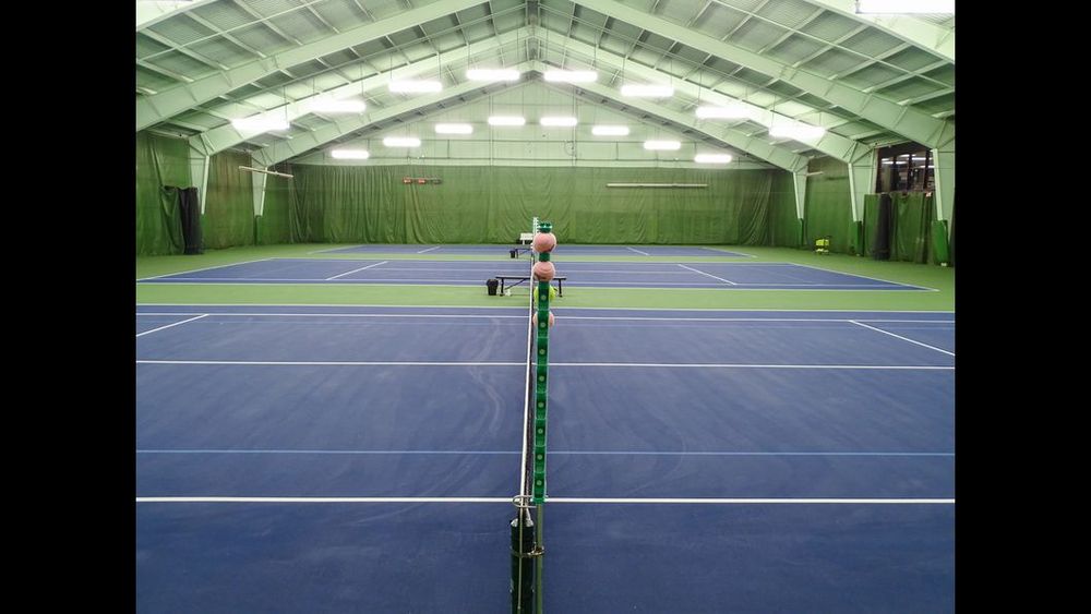 Photo of Pickleball at Bowed Chinese Alligator Courts