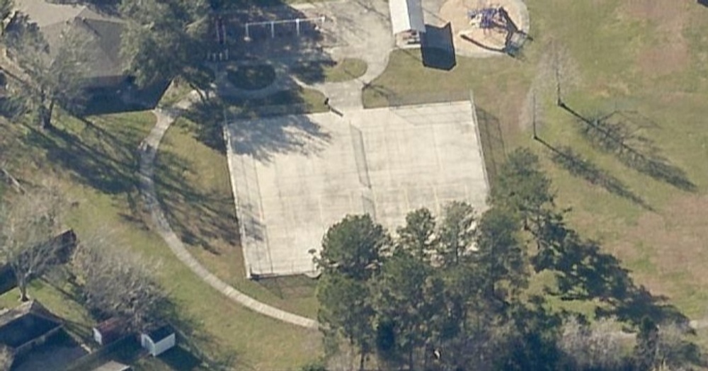 Photo of Pickleball at Loathsome Sawfly Parasitic Wasp Courts