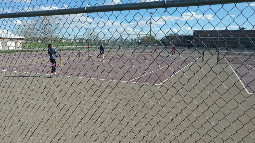 Photo of Pickleball at Embarrassed Australian Stock Horse Courts