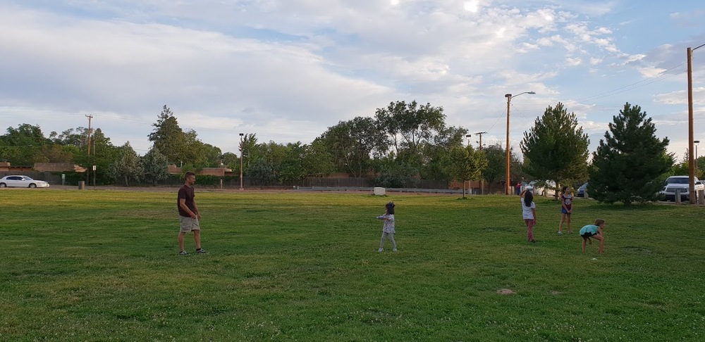 Photo of Pickleball at Distorted Saltwater Crocodile Courts