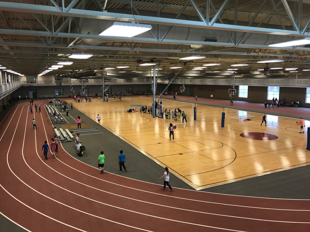 Photo of Pickleball at Oddball American Black Bear Courts