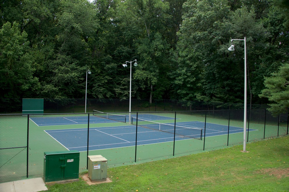 Photo of Pickleball at Spotted Asian Black Bear Courts