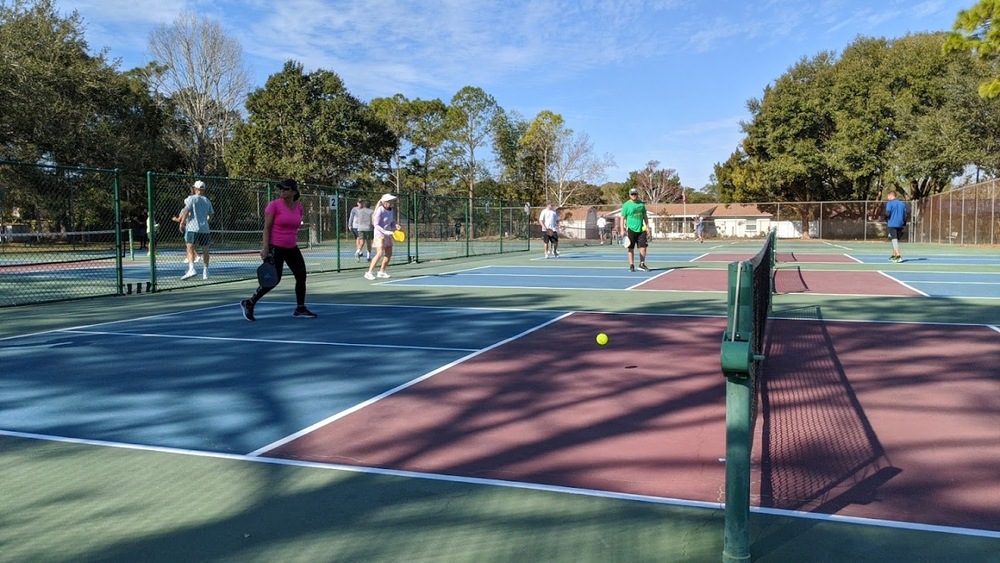 Play Pickleball at Lee P Moore Park Tennis & Pickleball Courts: Court  Information | Pickleheads