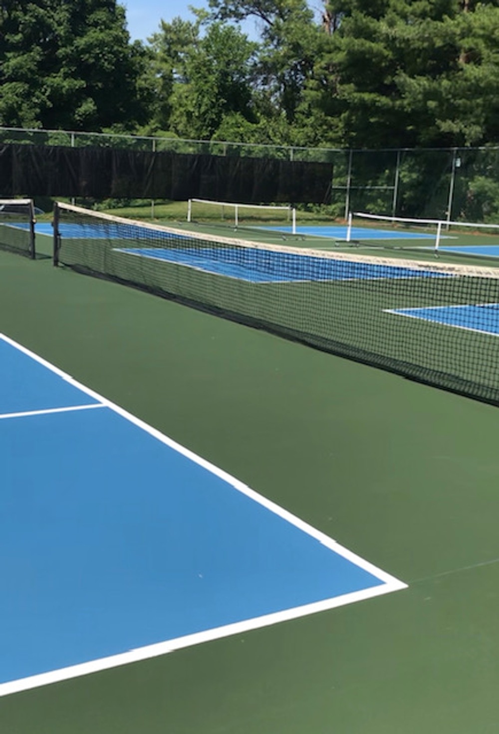 Photo of Pickleball at Smug Sun Bear Courts