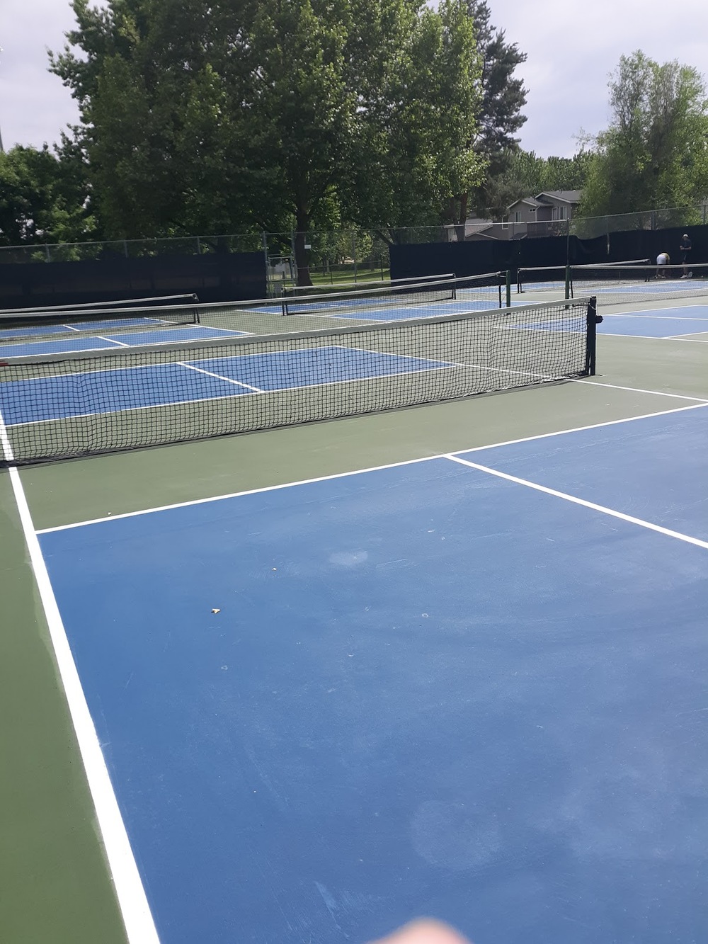 Photo of Pickleball at Husky Brown Bear Courts