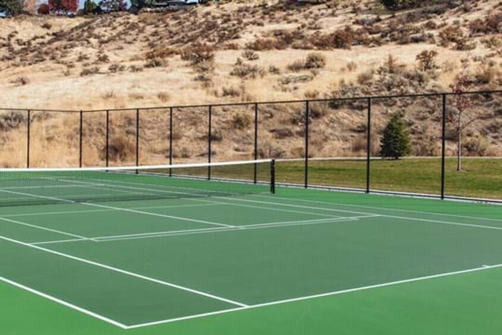 Photo of Pickleball at Wise Masai Lion Courts