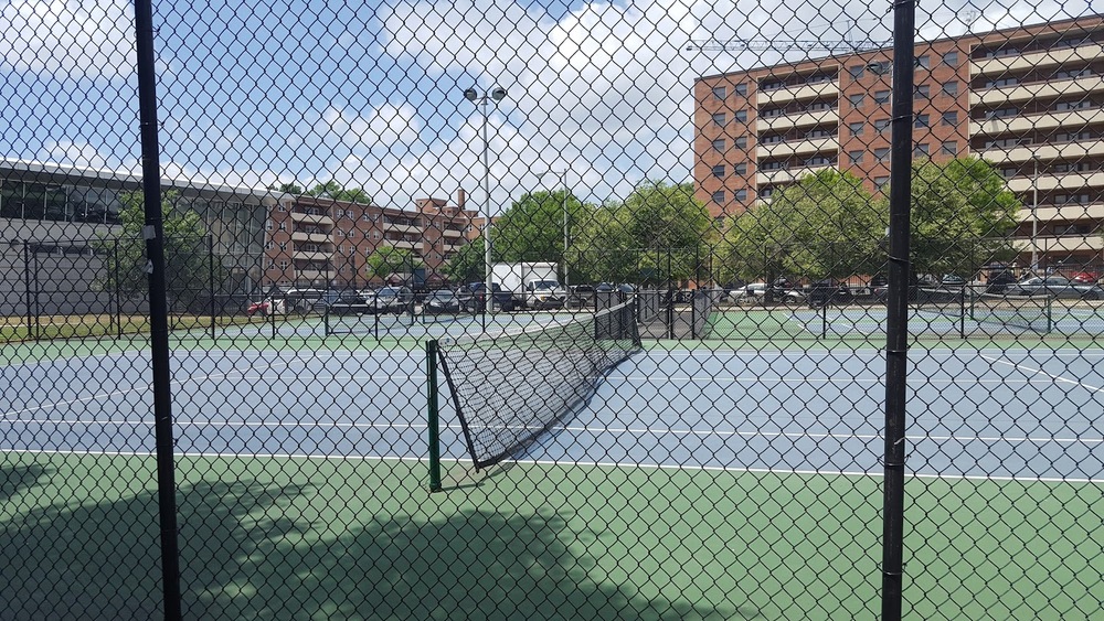 Photo of Pickleball at Exotic Amazon River Dolphin Courts