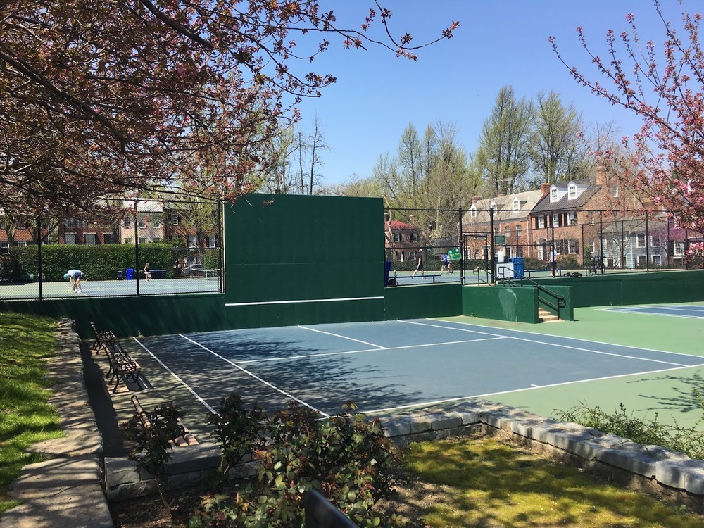 Photo of Pickleball at Fearless Longnosed Worm Snake Courts